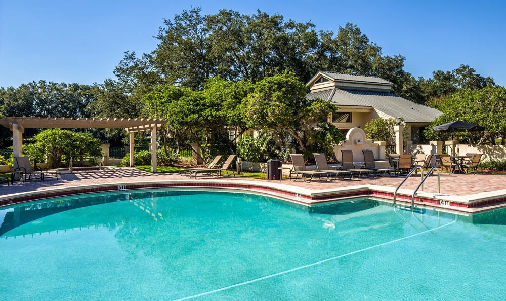 Carrollwood Apartments for Rent in Tampa, FL Palencia Apartments