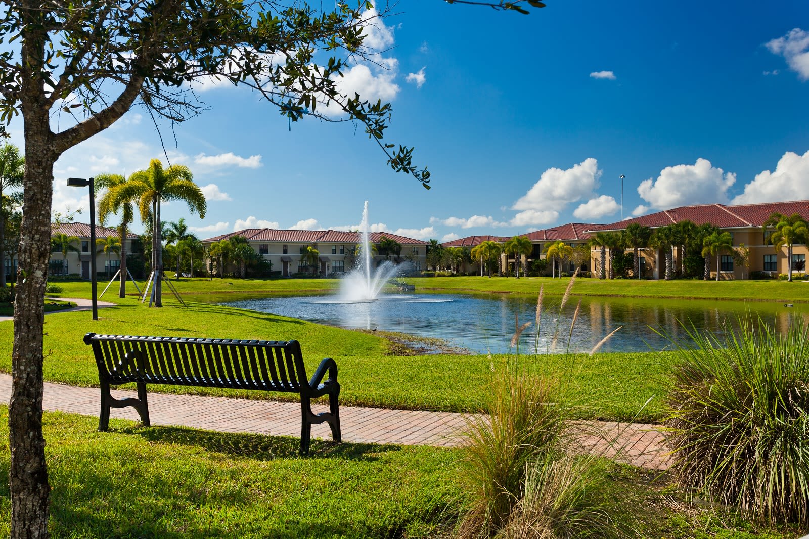 Bench beside a walking path along the lake at The Residences at Lakehouse in Miami Lakes, Florida