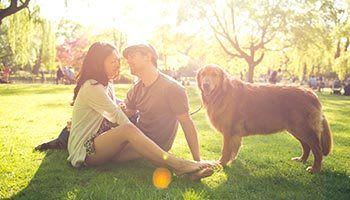 Pet friendly apartments in Spokane Valley