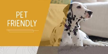 Pet Friendly Apartments in Loveland CO