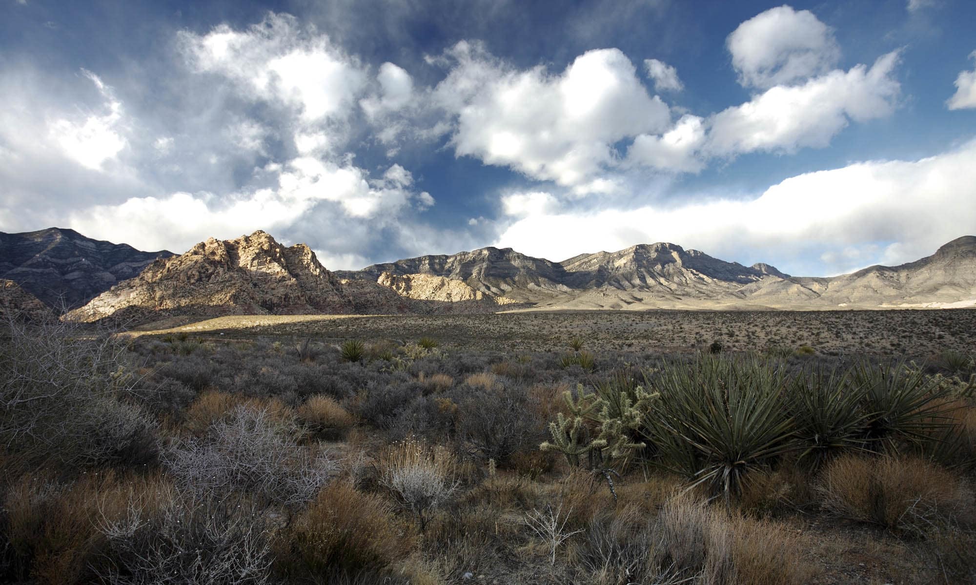 Beautiful landscape near Whispering Palms Apartments in North Las Vegas