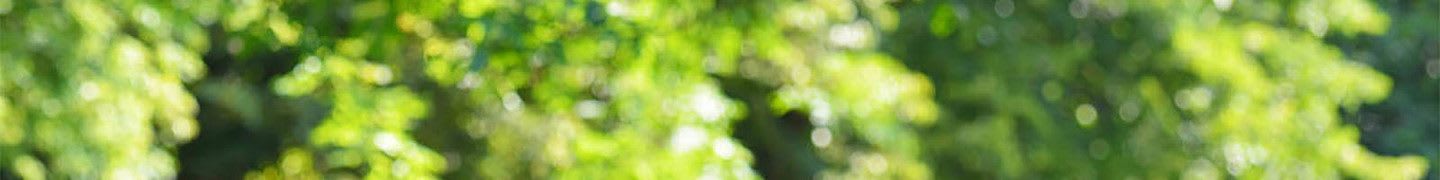Living options at our senior living community in Woodburn