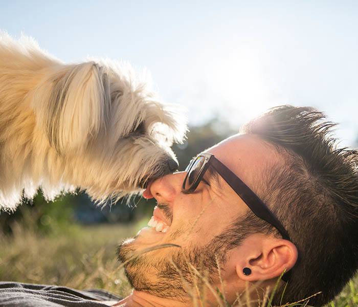 Pet-friendly apartments in Plano, TX