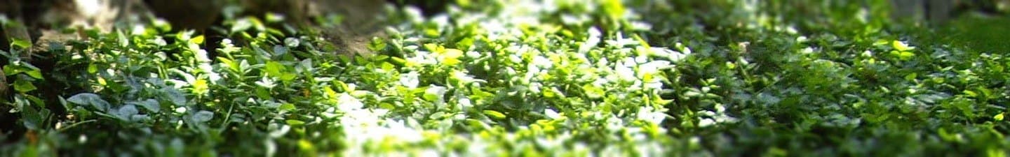 Map and directions to senior living in Medford, OR