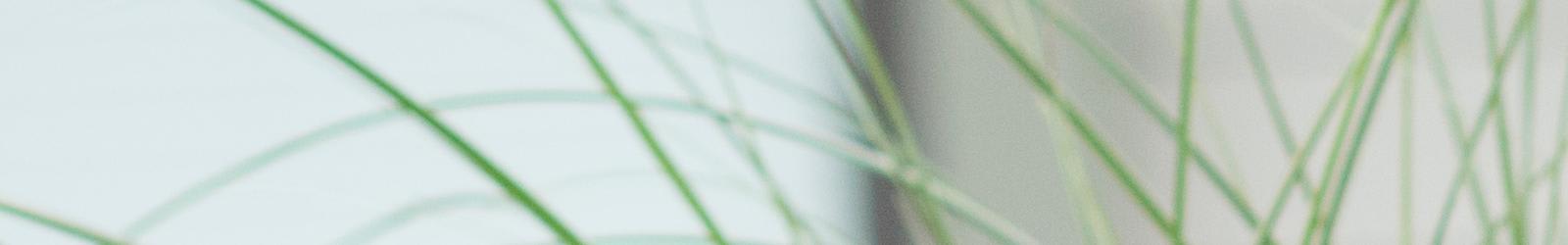 Get a glimpse into our McMinnville senior living Father's day stories