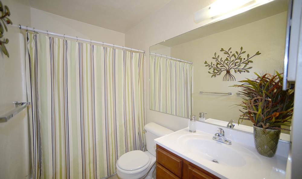 bathroom at Biltmore Commons Apartments in Portsmouth, VA