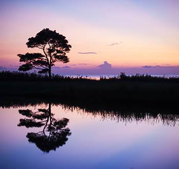 Enjoy the outdoors when living at Arbor Glen Apartments