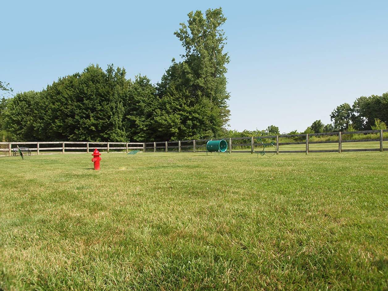 On-site dog park at Fox Chase Apartments 