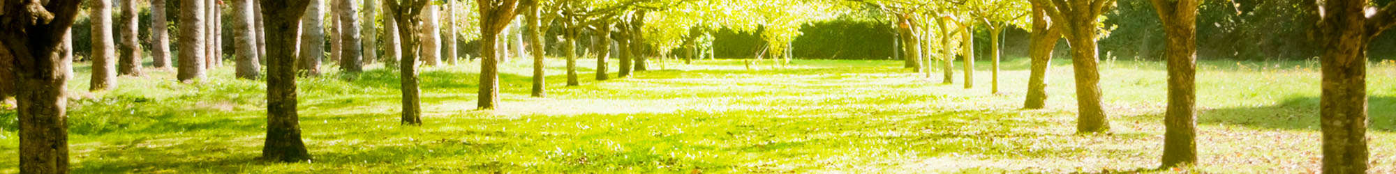 Sterling Lakes offers a great neighborhood for residents