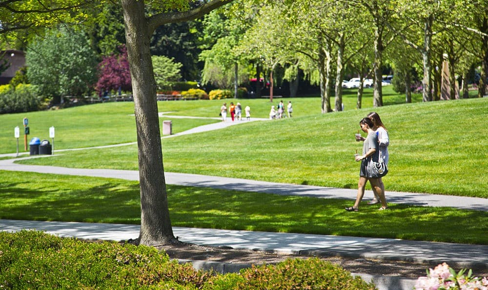 Bellevue park near The Meyden in Bellevue, Washington