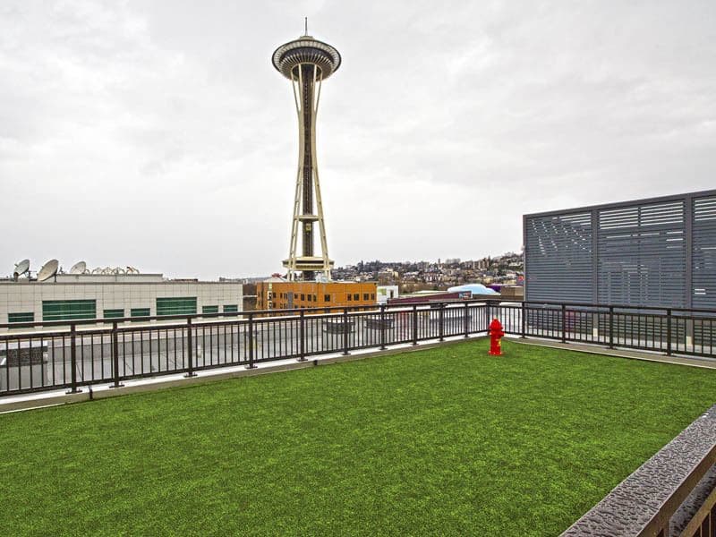 Turf Area for Dogs at The Century