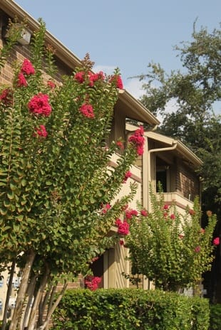 Optional bay windows at apartments in Corpus Christi