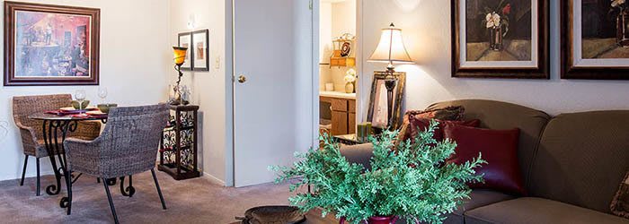 Luxury floor plans and clubhouse at Springhill Apartments