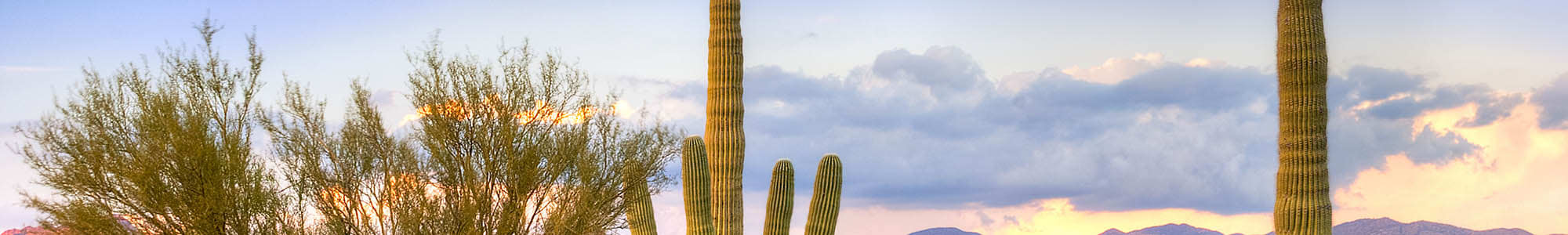 Privacy policy for the apartments in Chandler