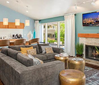 Wonderful studio, 1 & 2 bedrooms for rent in Kirkland