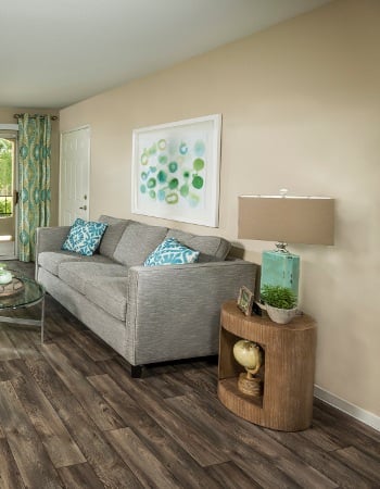 Living room in Las Vegas apartments for rent