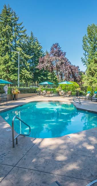 Swimming pool at our apartments in Beaverton