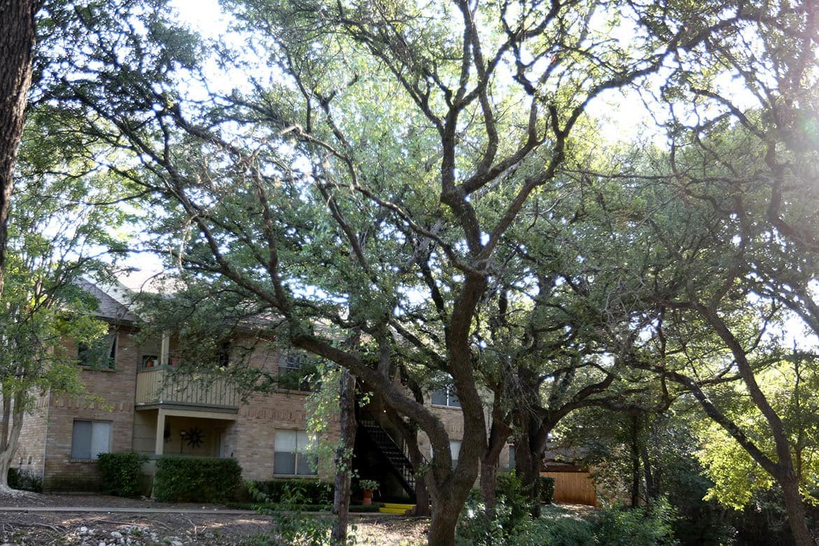 Photos | Bent Tree Apartments in Austin