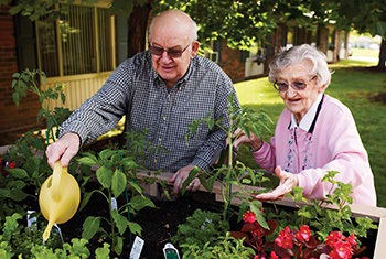American House Senior Living