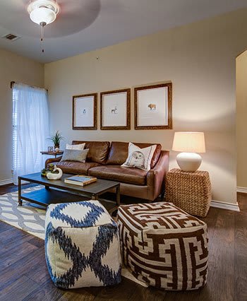 Living Room at stylish apartments in Fort Worth