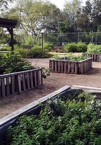 Beautiful garden area at The Grove apartments in Austin, TX