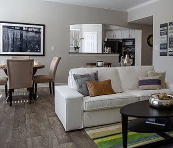 Living room at stylish apartments in Carrollton