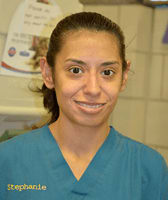 Team member Stephanie at St. Francis of Assisi Veterinary Medical Center