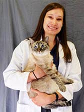 Dr. Jensen at Care Animal Hospital