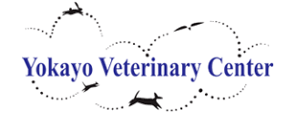 Yokayo Veterinary Center