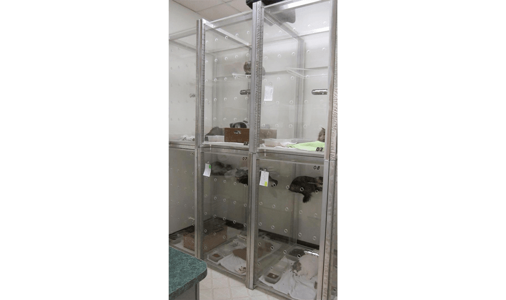 Our Hospital Memorial Cat Hospital