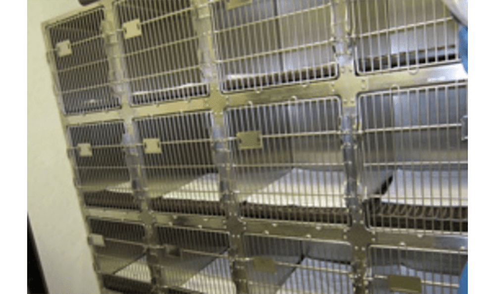 Our Hospital Memorial Cat Hospital