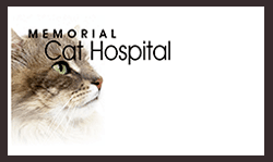Our Skilled Veterinarians Memorial Cat Hospital