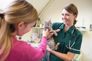 Team at Augusta Valley Animal Hospital in Staunton