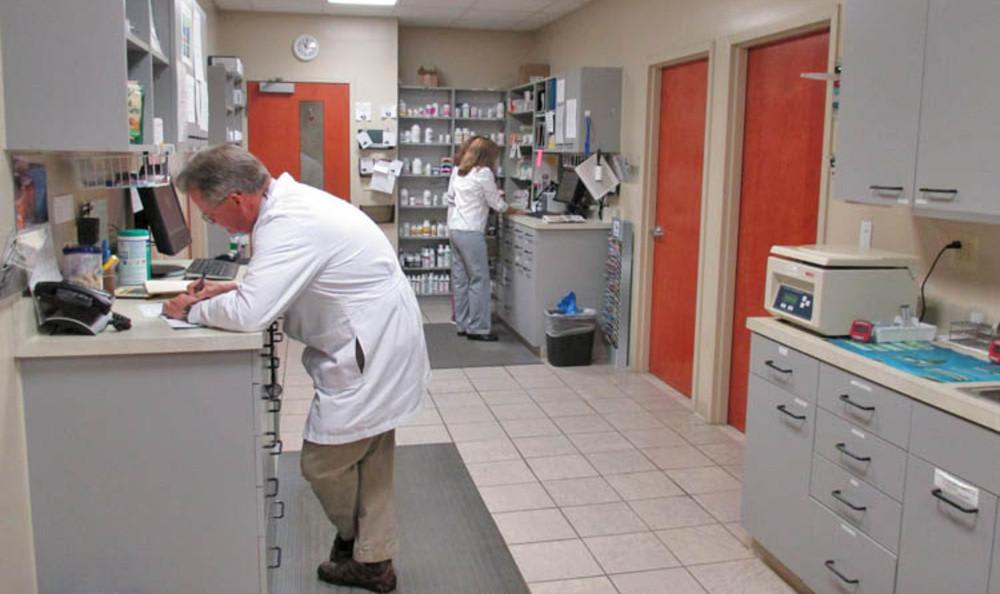 Our Hospital Augusta Valley Animal Hospital