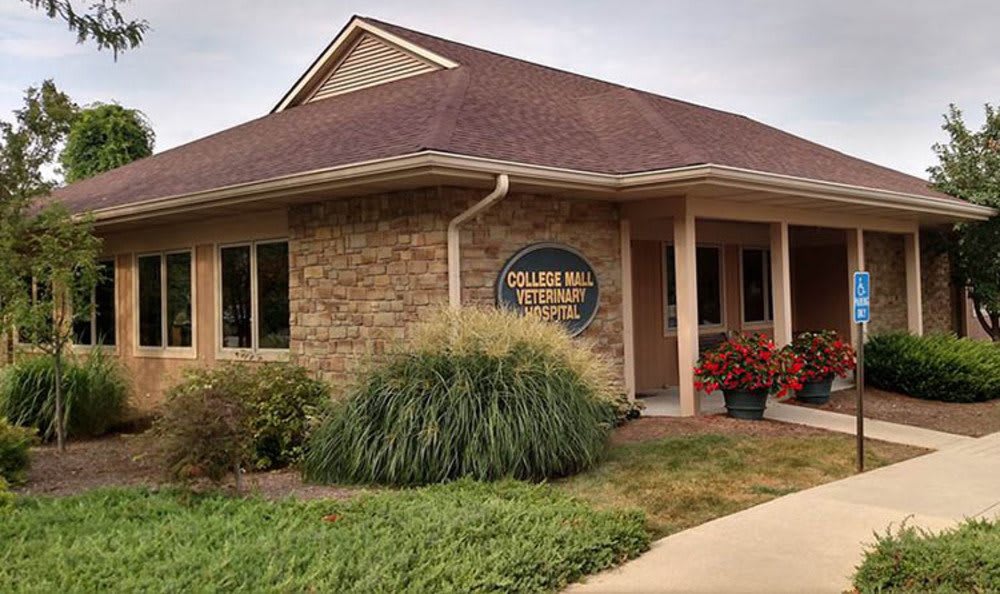 Our Hospital College Mall Veterinary Hospital