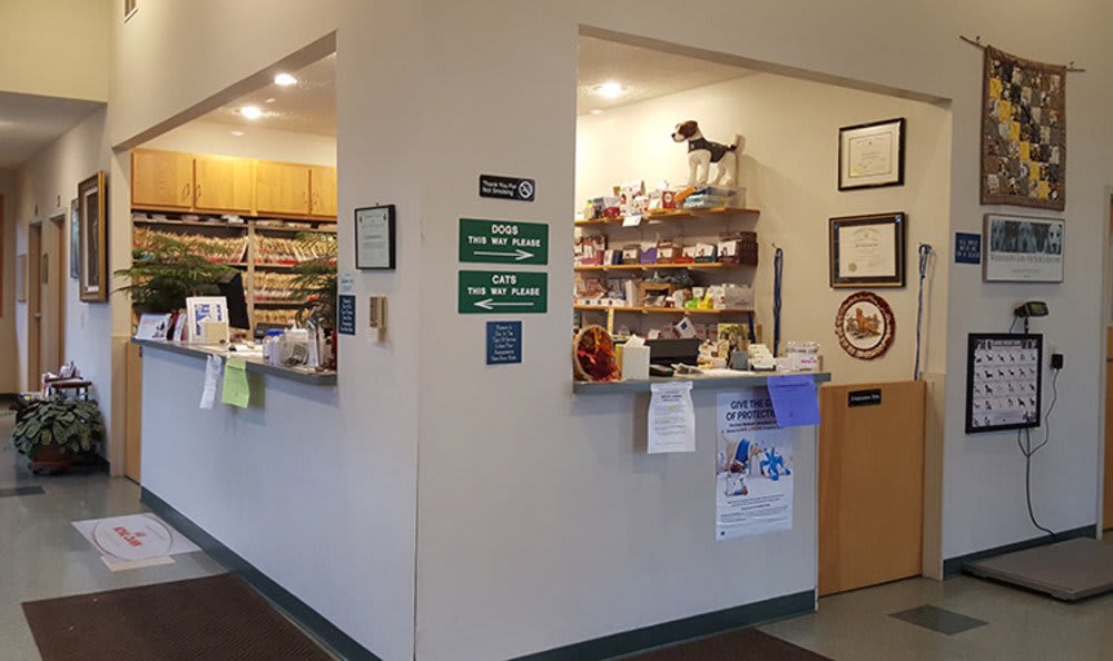 Our Hospital College Mall Veterinary Hospital