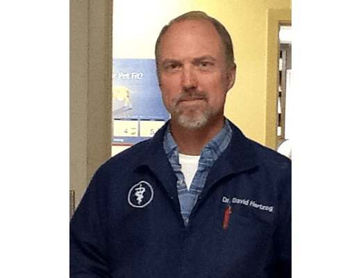Dr. David Hertzog at Lee's Summit Animal Hospital