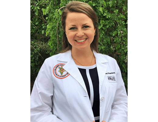 Dr. Rodenburg at Lee's Summit Animal Hospital