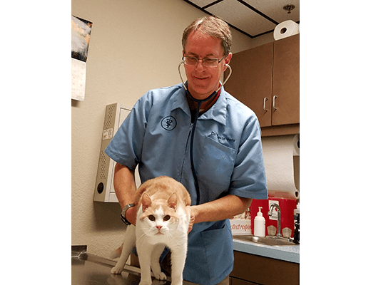 Dr. David Voris at Lee's Summit Animal Hospital