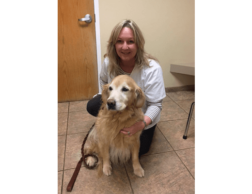Dr. Bell, DVM and managing veterinarian at Chesterfield Animal Hospital