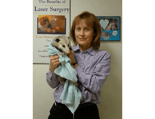 Dr. Bauer, DVM at Chesterfield Veterinary Clinic