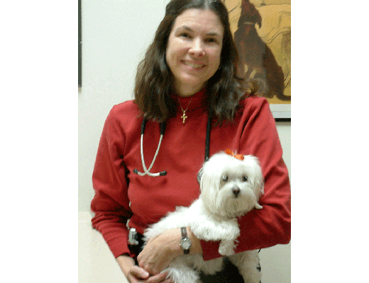 Dr. Jarasek from Veterinary Group of Chesterfield