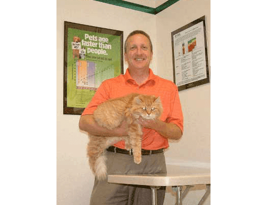 Dr. Thornberry, DVM at Chesterfield Animal Hospital