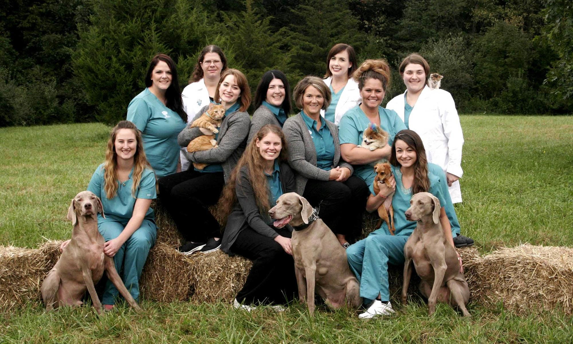 Animal Hospital in Moline, IL