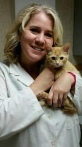 dr.bollinger at Animal Medical Clinic of Merle Hay