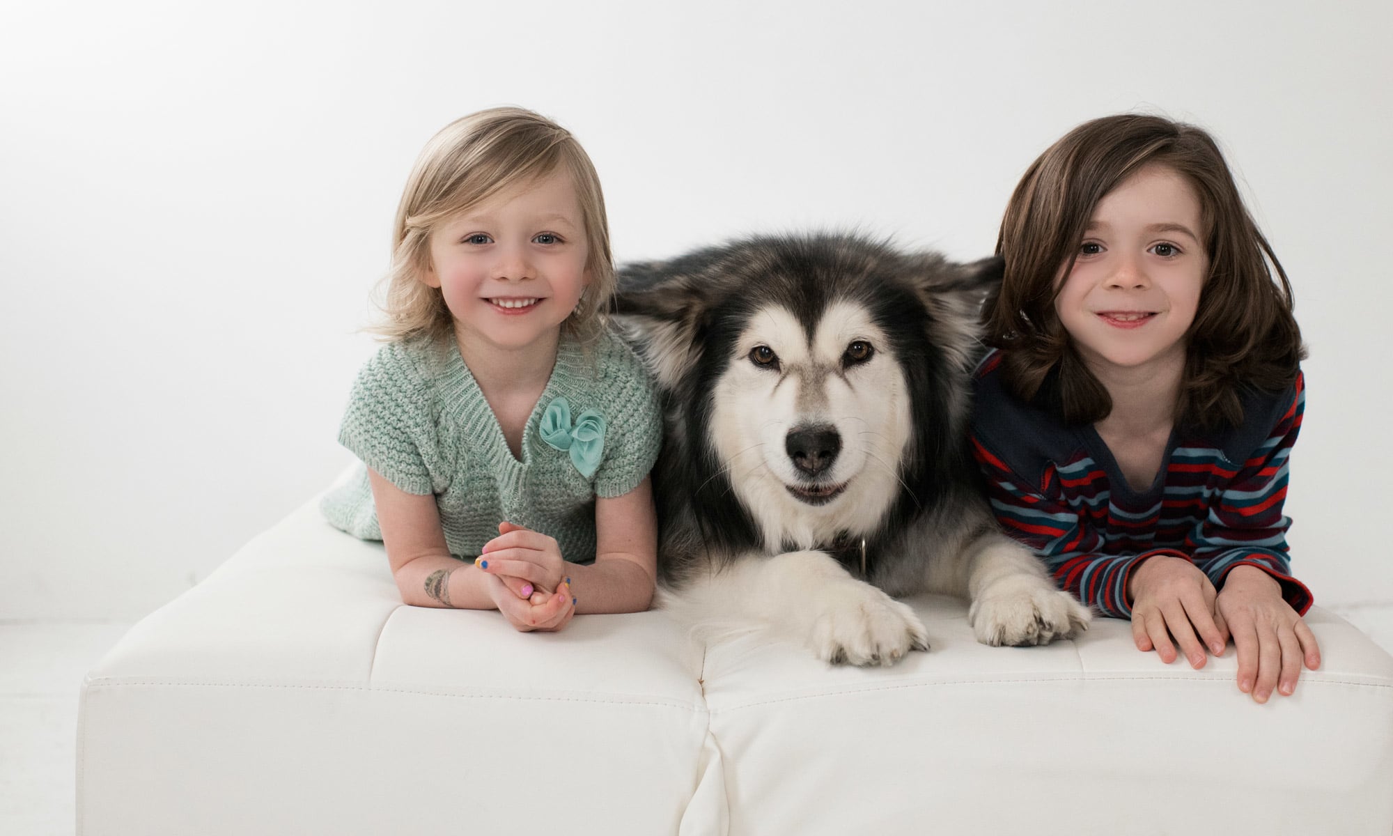 Animal Hospital in Newcastle, WA