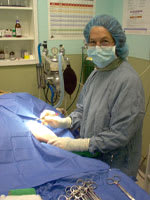 About our New York Animal Hospital