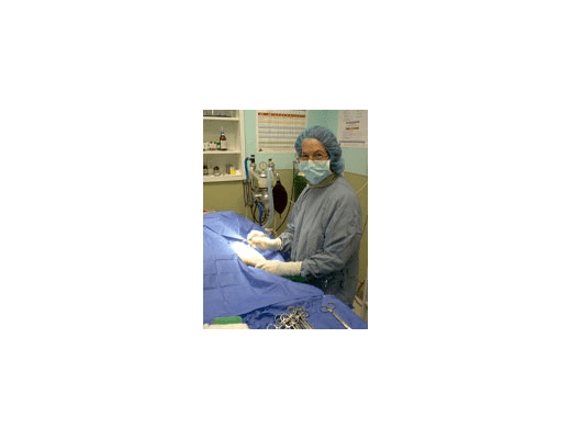 Doctor Jane Kasovsky at Riverside Animal Hospital North