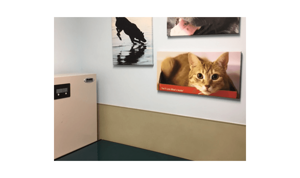 Our Hospital Riverside Animal Hospital North
