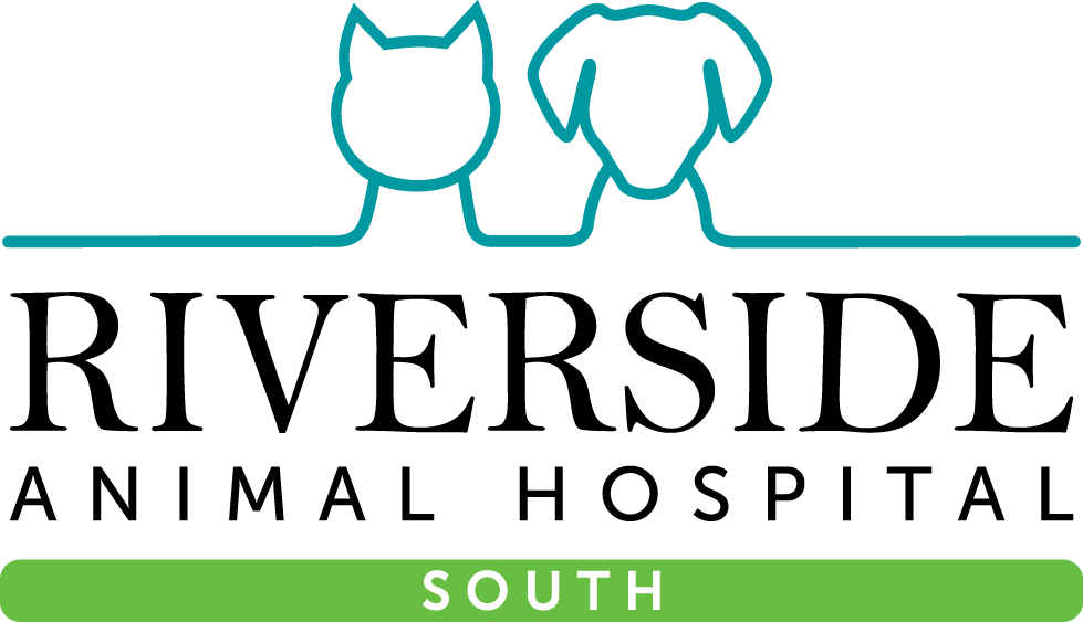 Riverside Animal Hospital South | New York Veterinarian